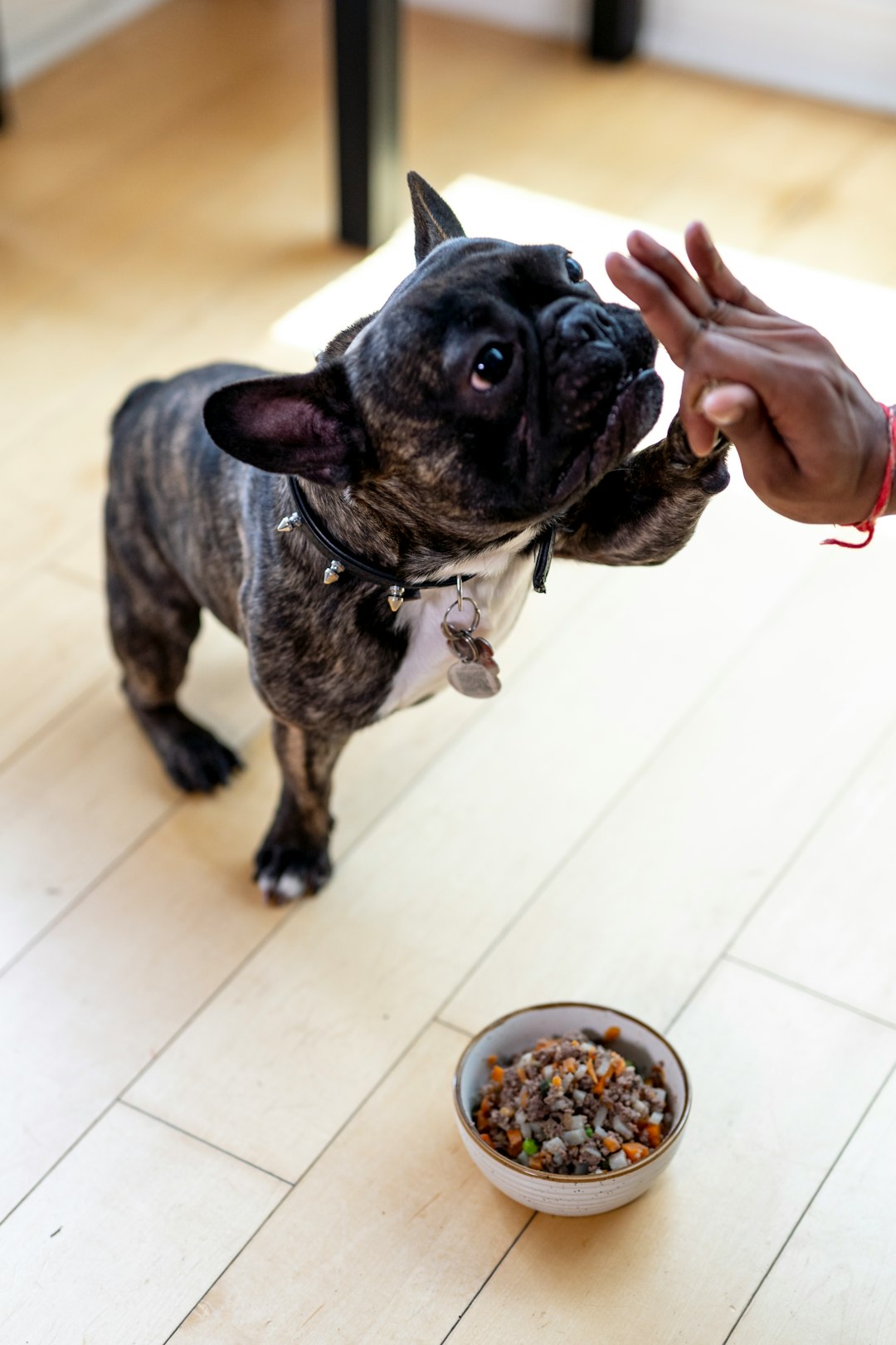 Delicious and Balanced Homemade Meals for Your Furry Friend